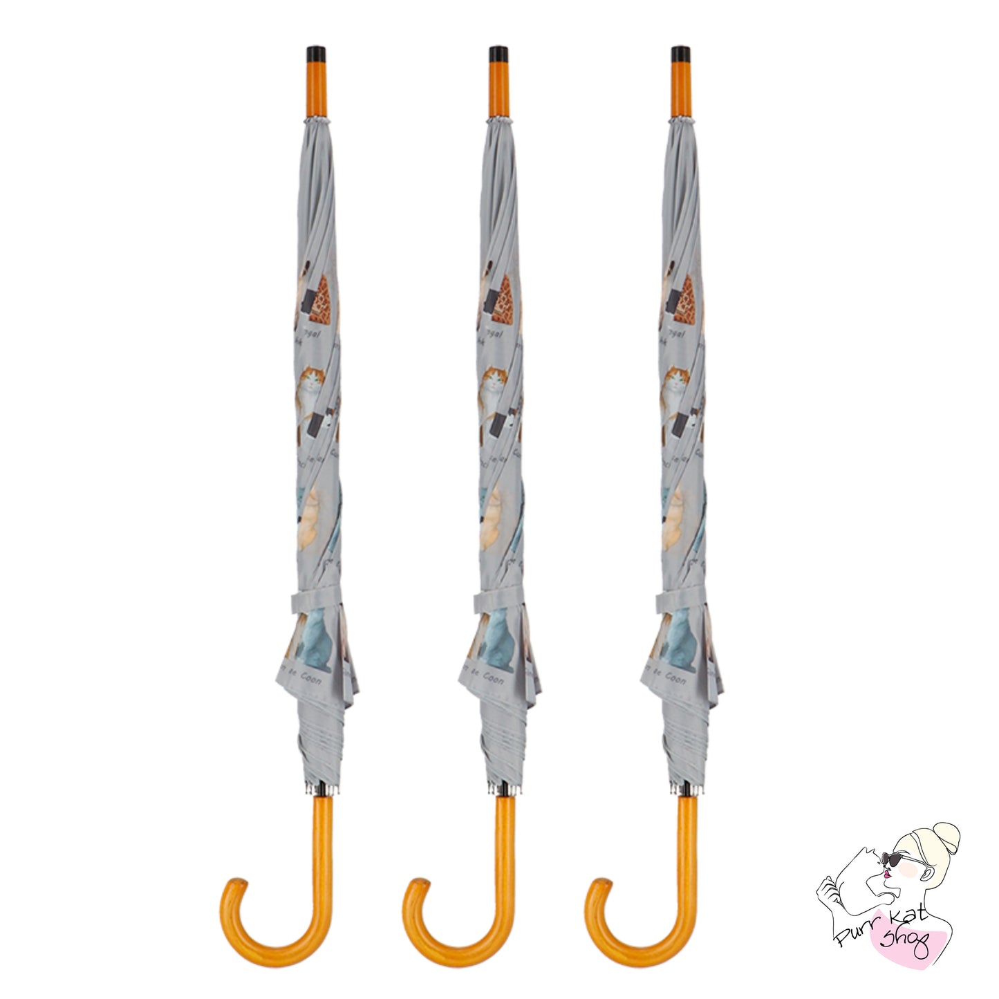 Paraplu kattenrassen